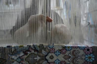 An Iranian woman weaves a carpet at a workshop in the city of Kashan, about 152 miles (245 km) south of the capital Tehran, Iran, Tuesday, April 30, 2024. (AP Photo/Vahid Salemi)