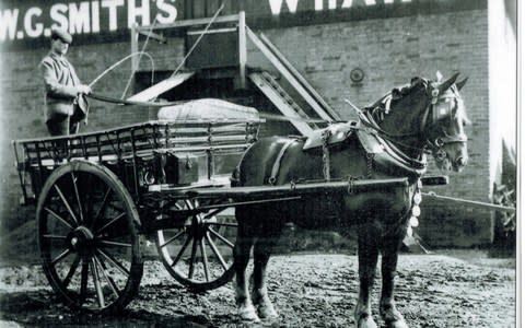 Millions of heavy horses were once vital for British industry and farming 