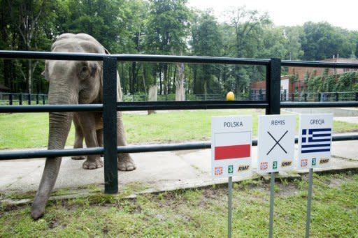 Paul the amazing clairvoyant octopus may be dead but now he has a worthy heir, a Polish-based Indian elephant named Citta. The 33-year-old female elephant at Krakow zoo has "predicted" a win for the Poland football team in the 2012 European Championships