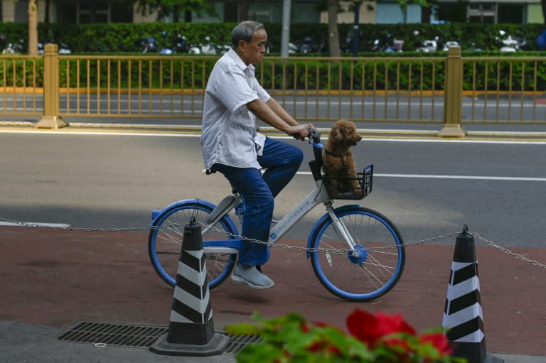 Hellobike's parent company, HelloRide, operates seven million shared bicycles (WANG Zhao)