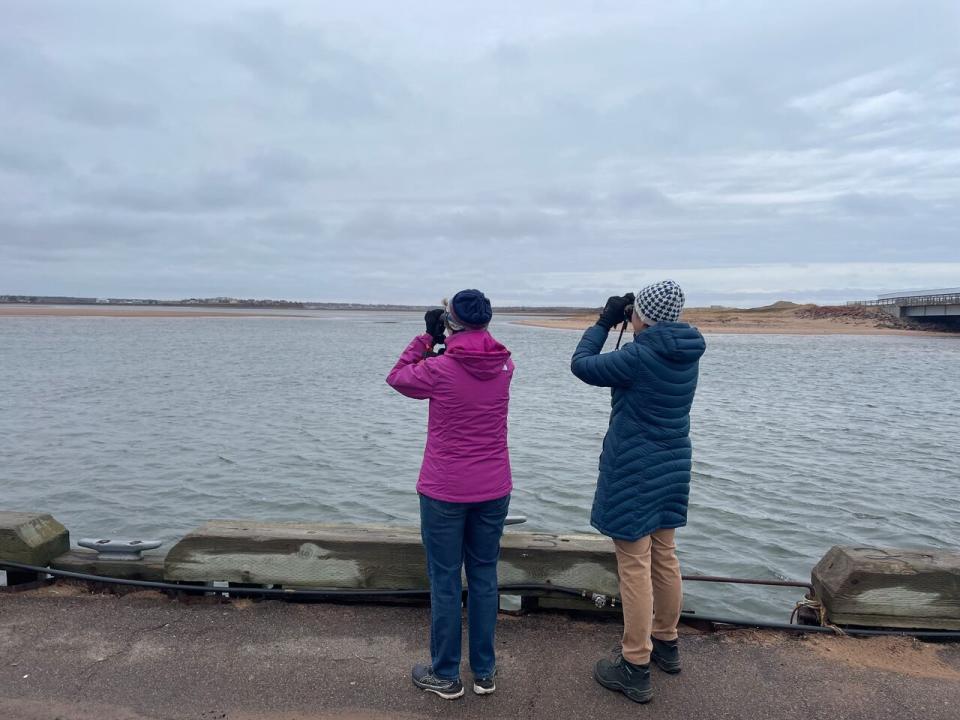 Kathy Martin and Kate Gordon look at the sea birds in the PEI National Park. 