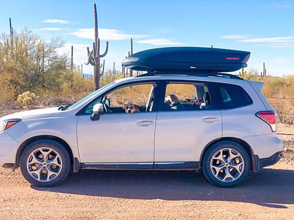 Alexander Lofgren and Emily Henkel’s missing white Subaru was found by Death Valley National Park at approximately 11 a.m. on Thursday off of Gold Valley Road, according to officials.