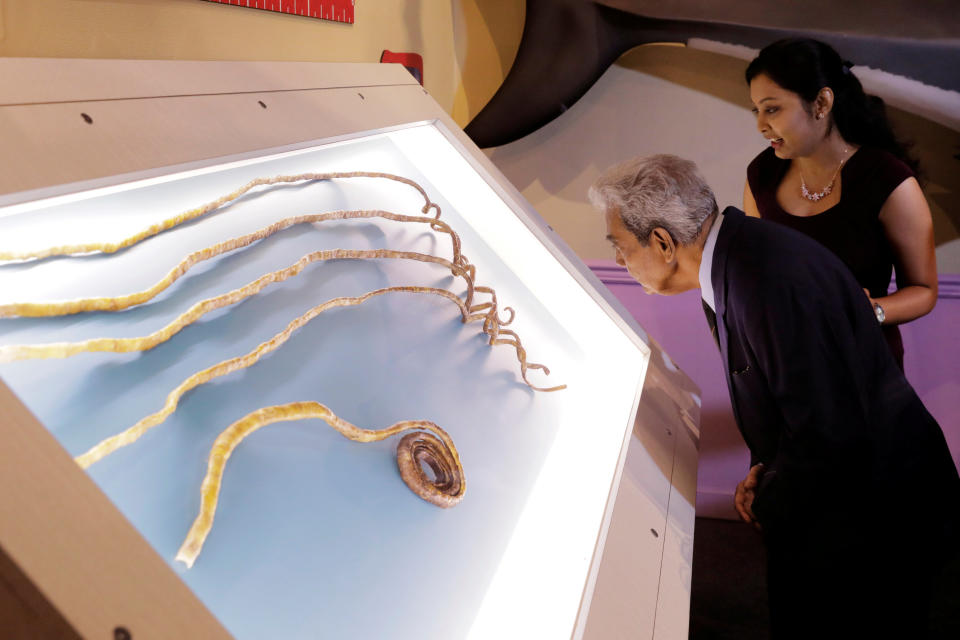 Las uñas de Shridhar Chillal fueron expuestas en un museo de Nueva York. Foto: REUTERS/Lucas Jackson