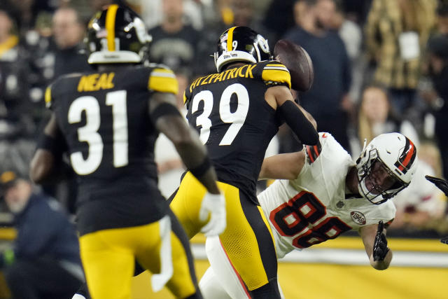 Steelers safety Minkah Fitzpatrick says the hit that injured Browns RB Nick  Chubb wasn't dirty - The San Diego Union-Tribune