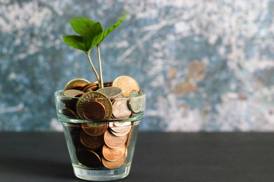 plant growing out from a pot of coins