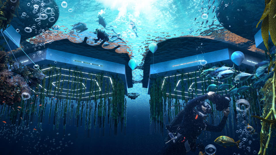 What the modular platforms will look like under water - Credit: Oceanix/Bjarke Ingels Group