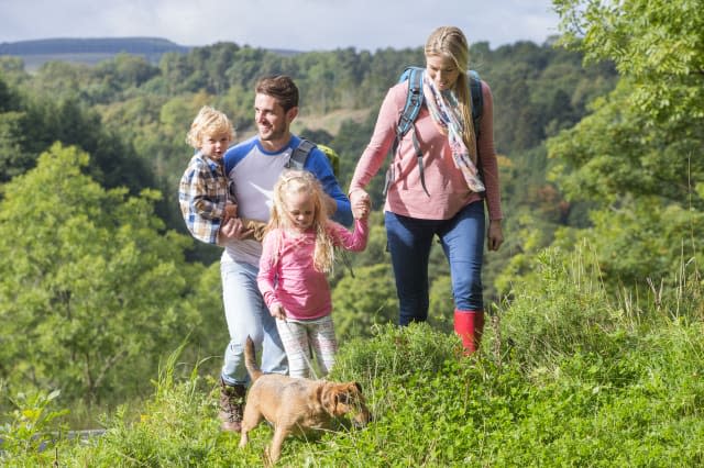 Family out for a walk