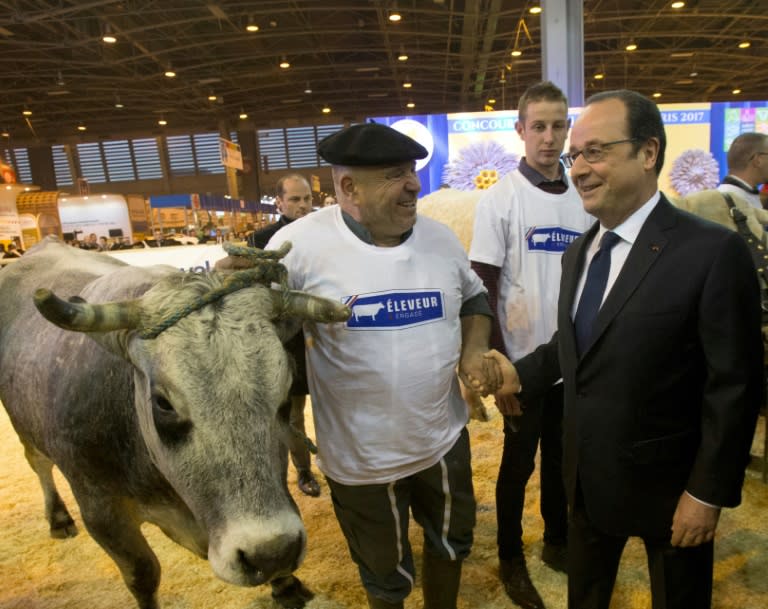 French President Francois Hollande visiting the International Agriculture Fair in Paris, a main stomping ground for politicians, particularly during election campaign season