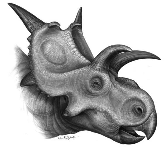 <i>Xenoceratops</i>, a newly discovered Cretaceous-era dinosaur,likely grazed on cattails and ferns in a primeval forest in what is now Canada.