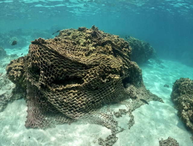 43 tons of 'ghost nets' removed from single Hawaiian coral reef