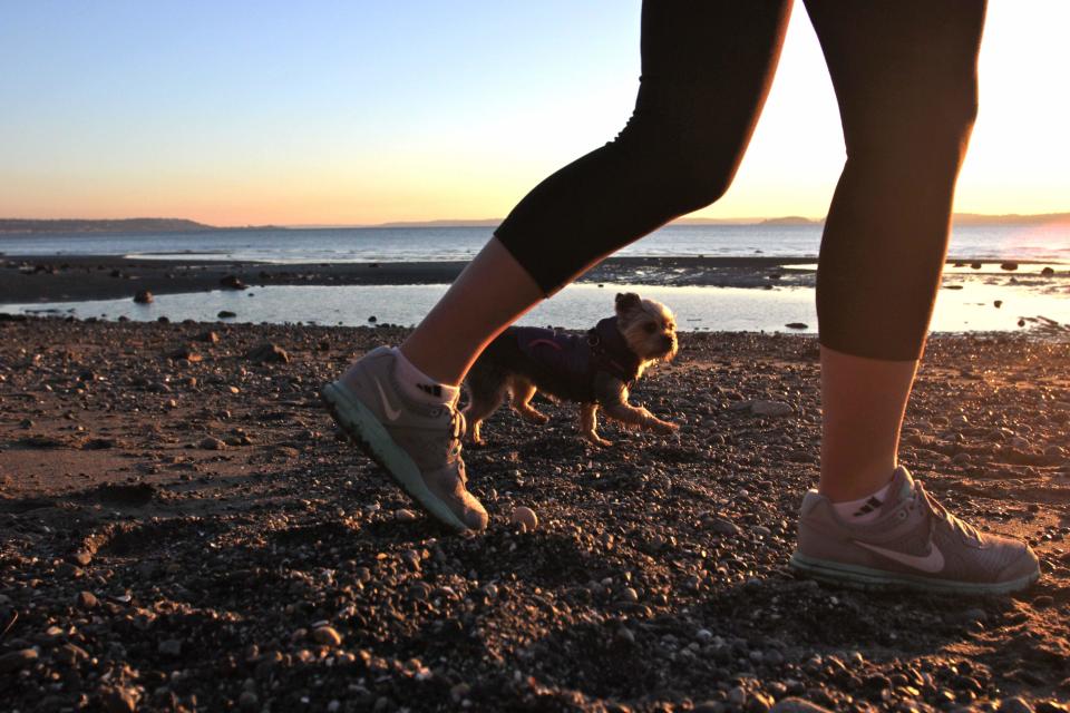 In this image taken Jan. 16, 2013, Carleigh Davis walks her dog Ruby on the beach at Discovery Park in Seattle. At 534 acres, Discovery Park is the largest park in the city and it features seaside bluffs, views of the Puget Sound, trails, a light house and a beach. (AP Photo/Manuel Valdes )