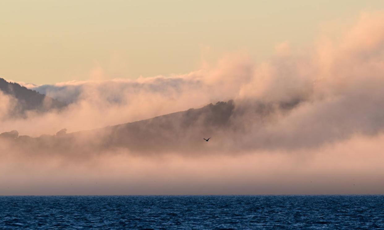 <span>August fog covers the hills of Marin County, California.</span><span>Photograph: Anadolu/Getty Images</span>