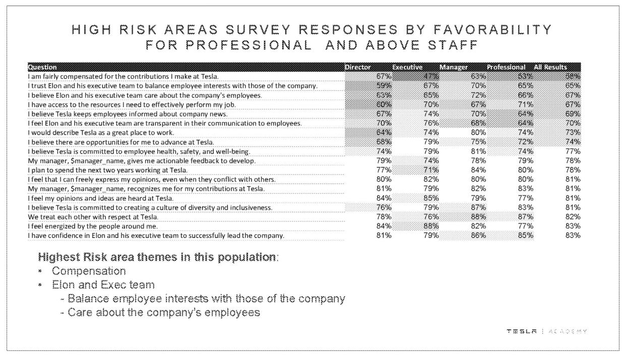 A screenshot from Tesla's 2018 employee survey