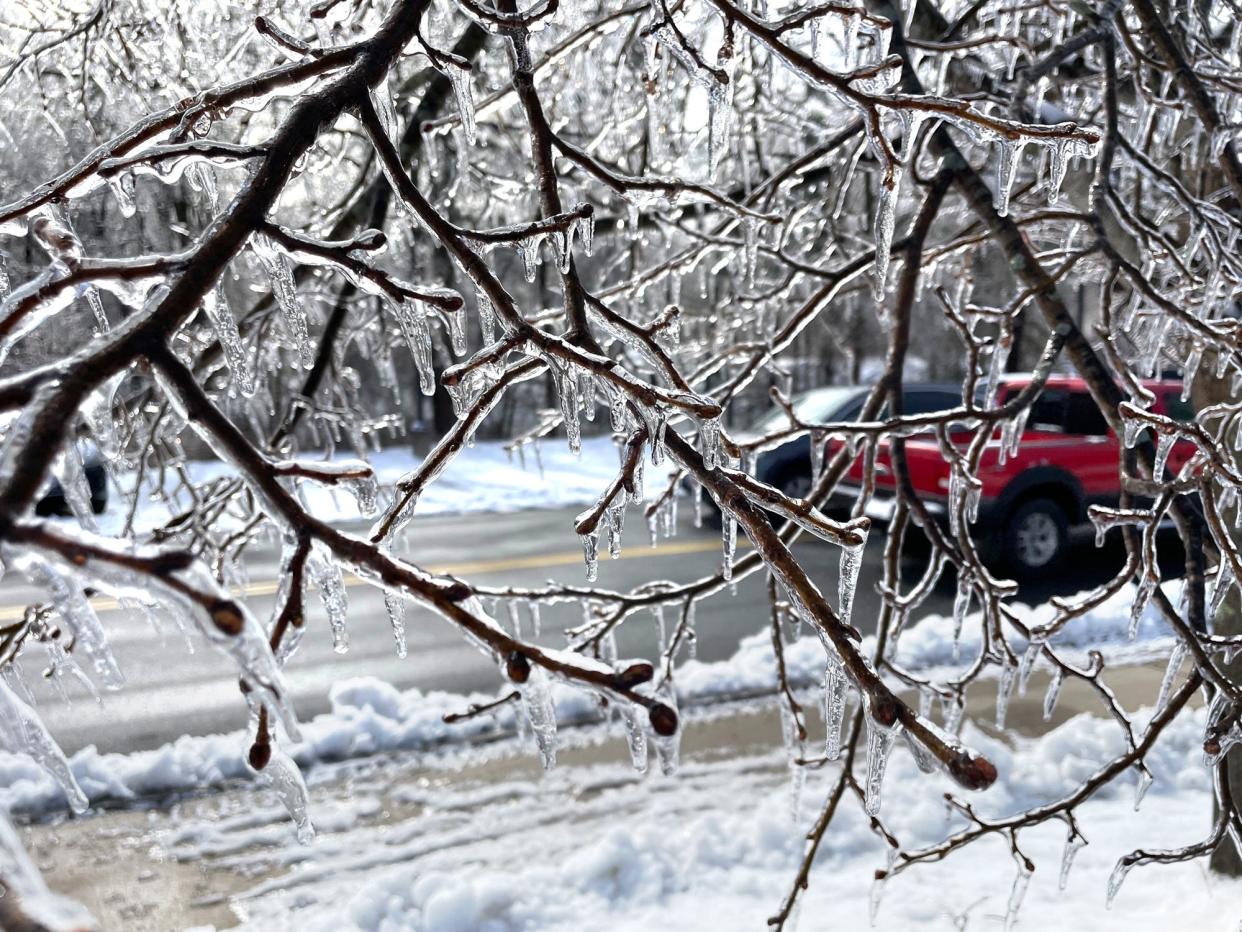 Ice covers tree branches on Norton Street in South Berwick Sunday morning March 24, 2024, following an ice storm that knocked out power for thousands over the weekend.