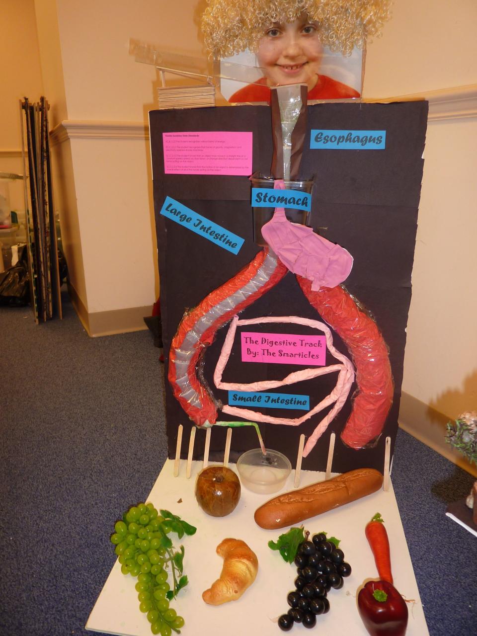 The annual tournament focuses on a middle school student’s ability to transform everyday objects into kinetic systems modeled after Rube Goldberg’s machines.