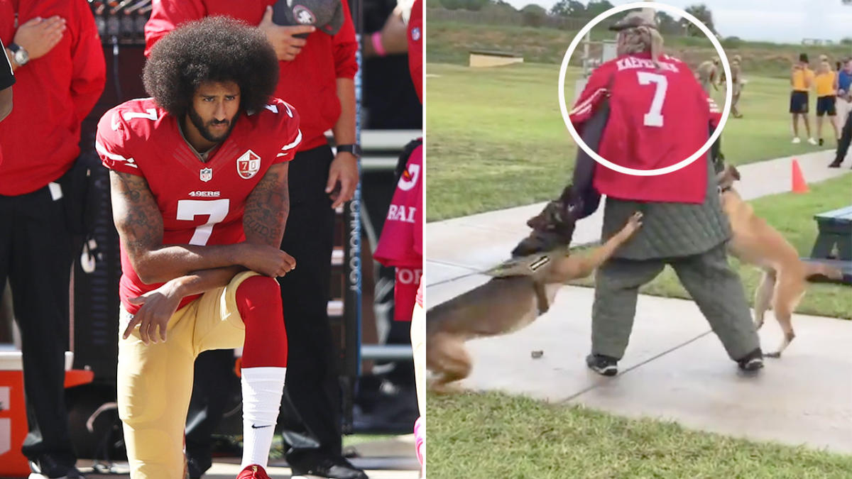 Navy Investigates Video of Dogs Attacking Man in Kaepernick Jersey