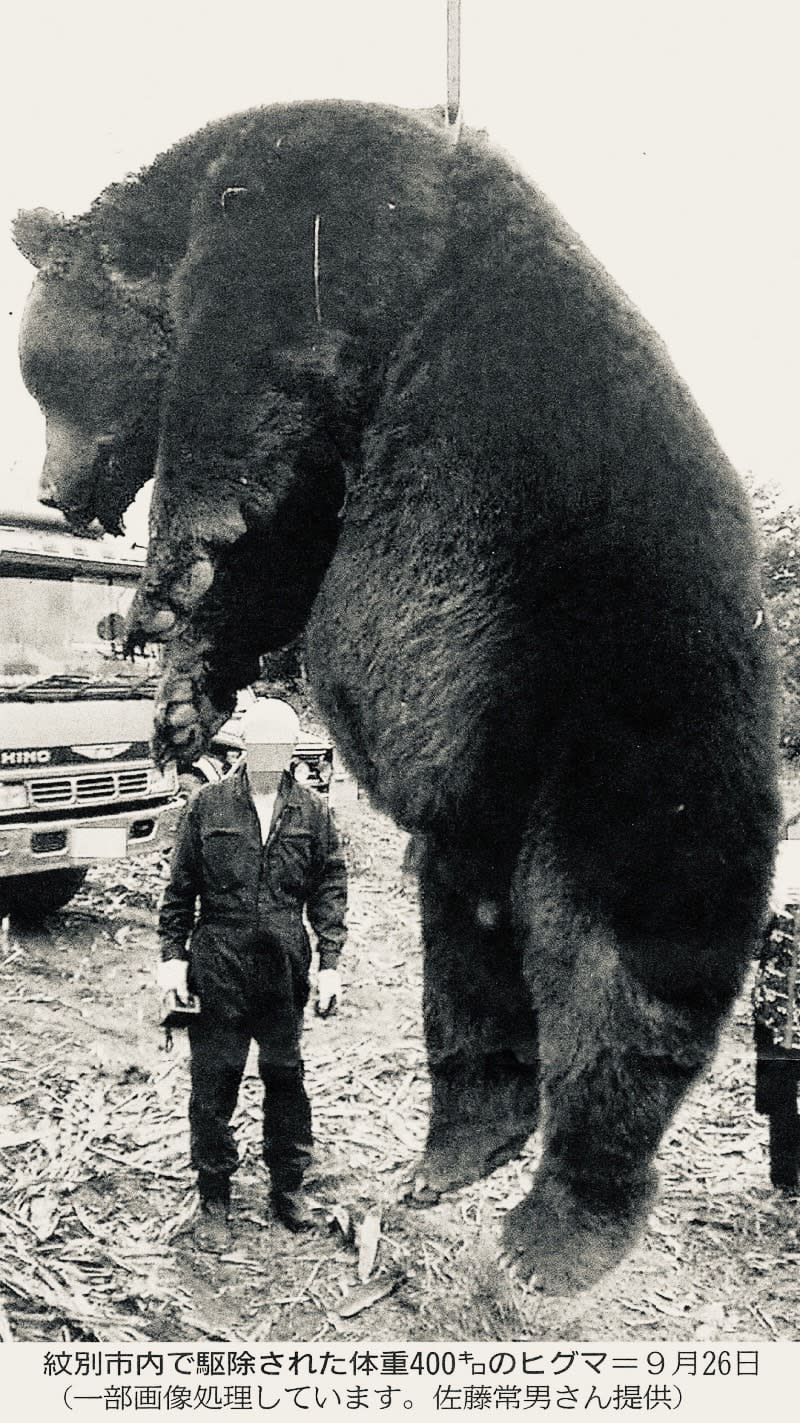 網友比對曾經在紋別市捕獲的400公斤巨熊，體型恐怕和這差不多。（圖／翻攝自推特）