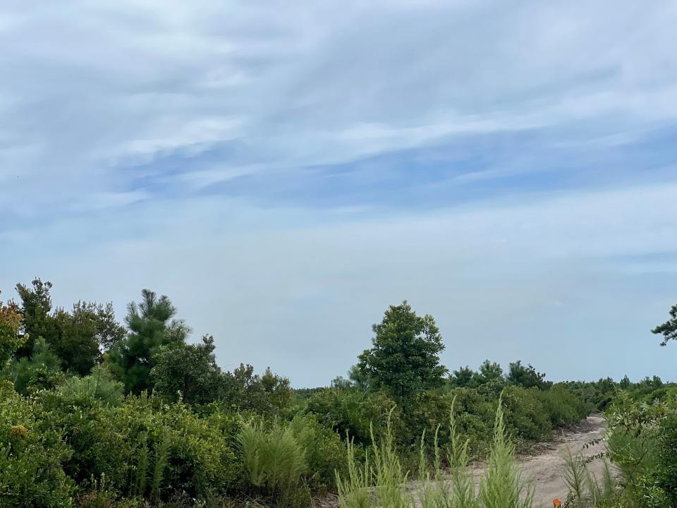 Smoke from a 2,000-acre wildfire in the Holly Shelter Game Land in Pender County clouds the sky on Thursday, Aug. 11, 2022.