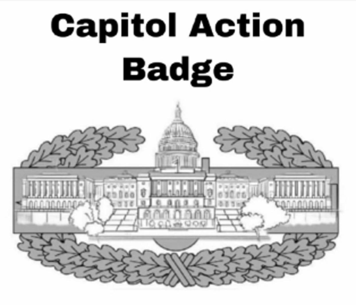 Capitol Action Badge. (U.S. District Court for the District of Columbia)