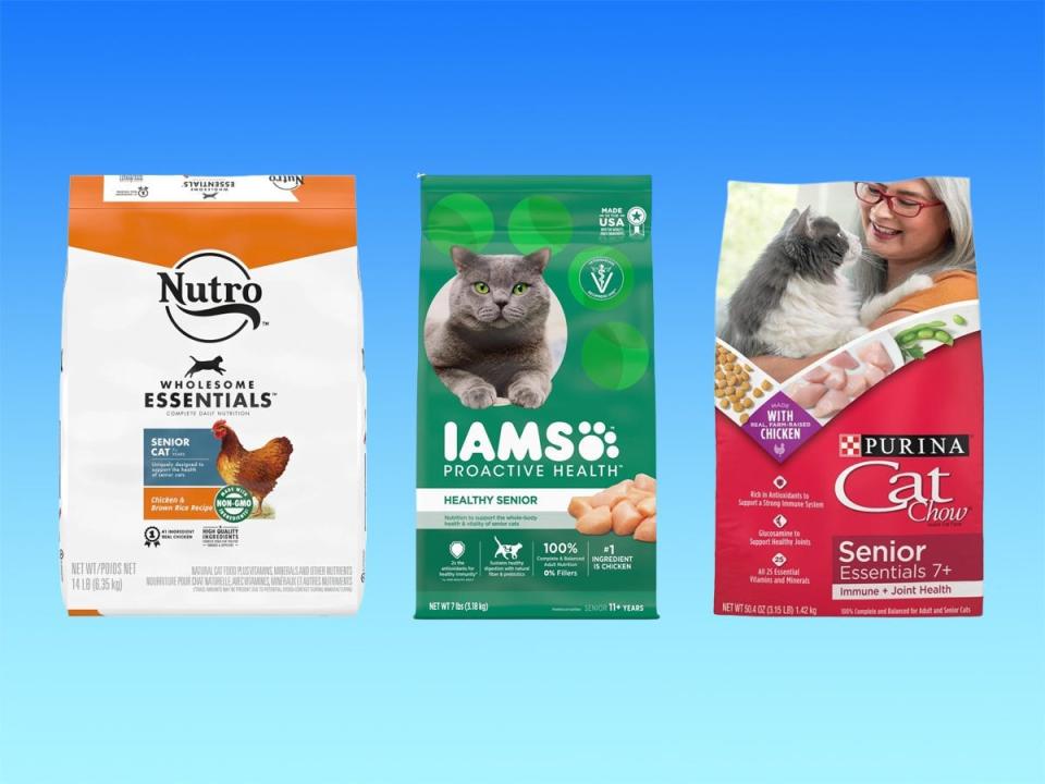 Bags of dry senior cat food from Nutro, Iams, and Purina against a blue gradient background.