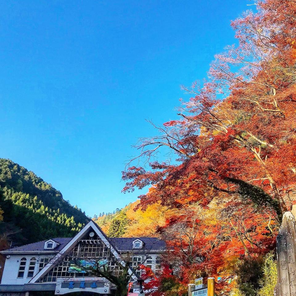 高尾山（圖片來源：Getty Creative）