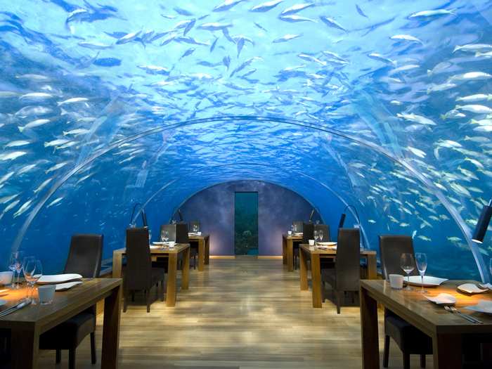 <b>Ithaa Undersea Restaurant<b> <i>Alif Dhaal Atoll, Maldives</i><br>The world's first undersea restaurant sits five metres below the surface, accessed by a spiral staircase. The glass structure gives diners a first-hand view of the sea life and coral surrounding them.</b></b>