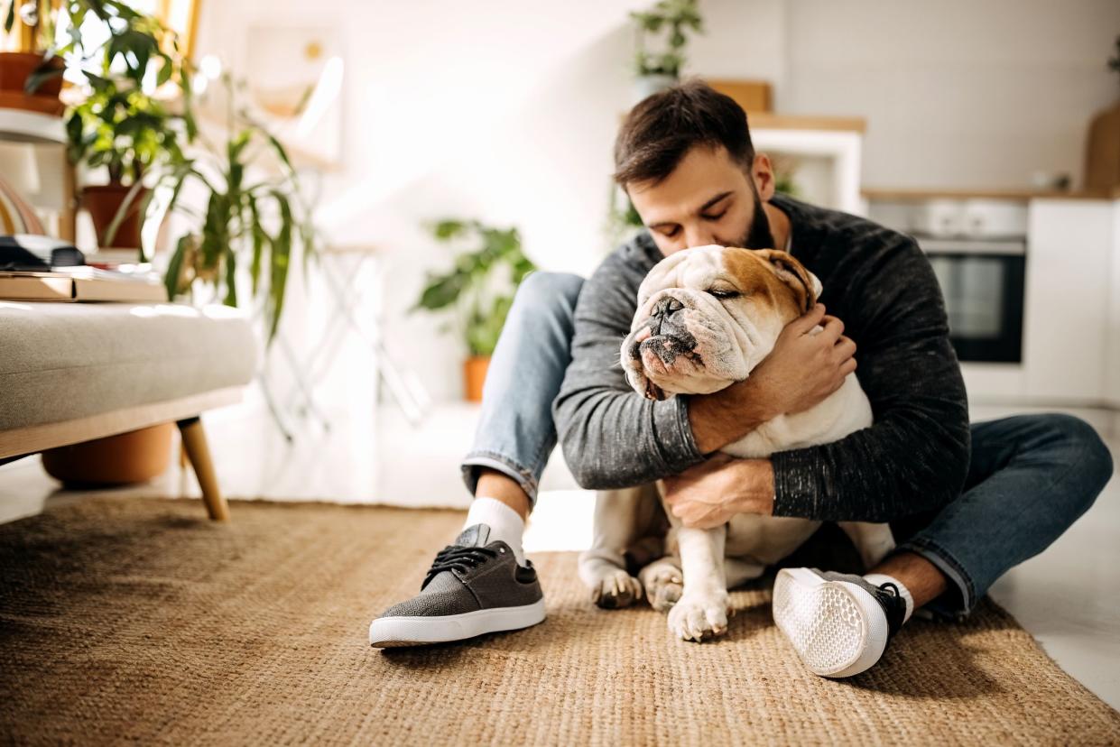 Young bearded man bonding with his english bulldog