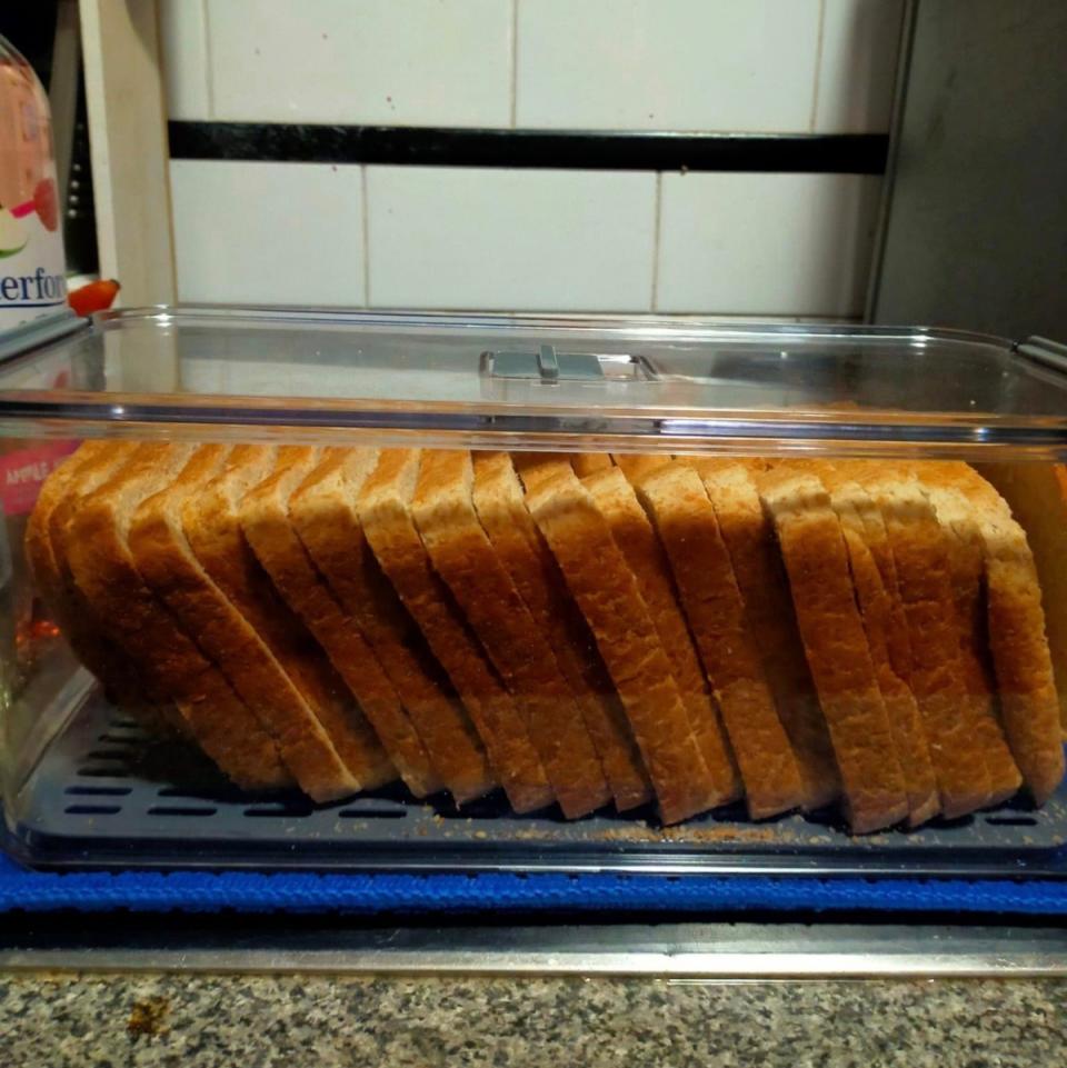 Kmart container used to store bread