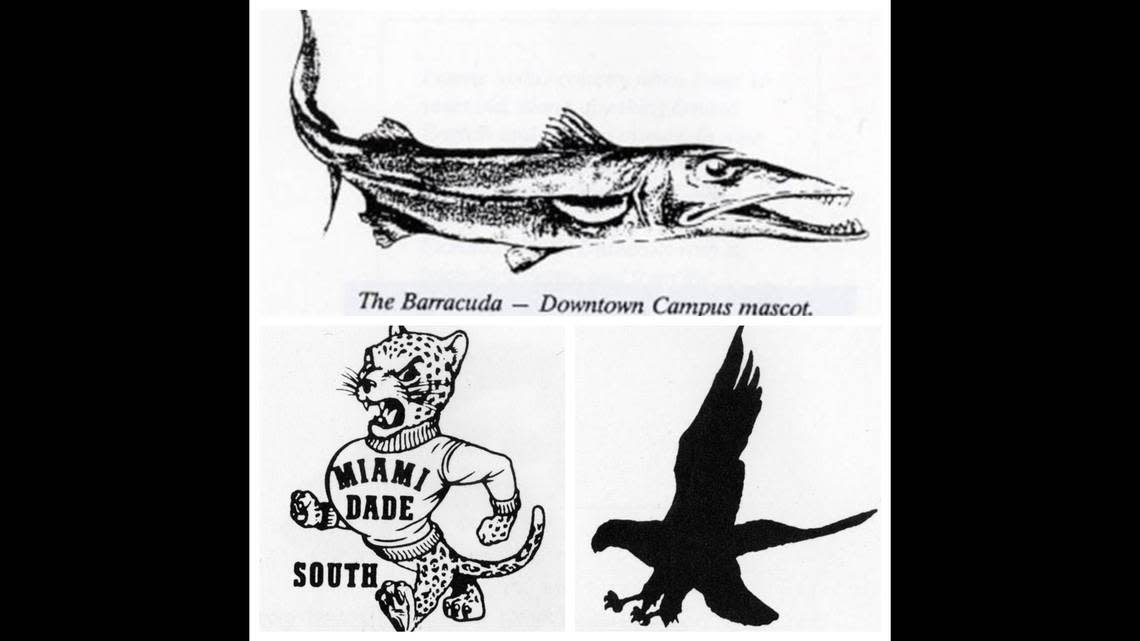 MDC’s campuses used to have different mascots. MDC North was known as the Falcons, the South Campus (now known as Kendall Campus) was known as the Jaguars, and the Downtown Campus (now known as Wolfson Campus) was known as the Barracudas.