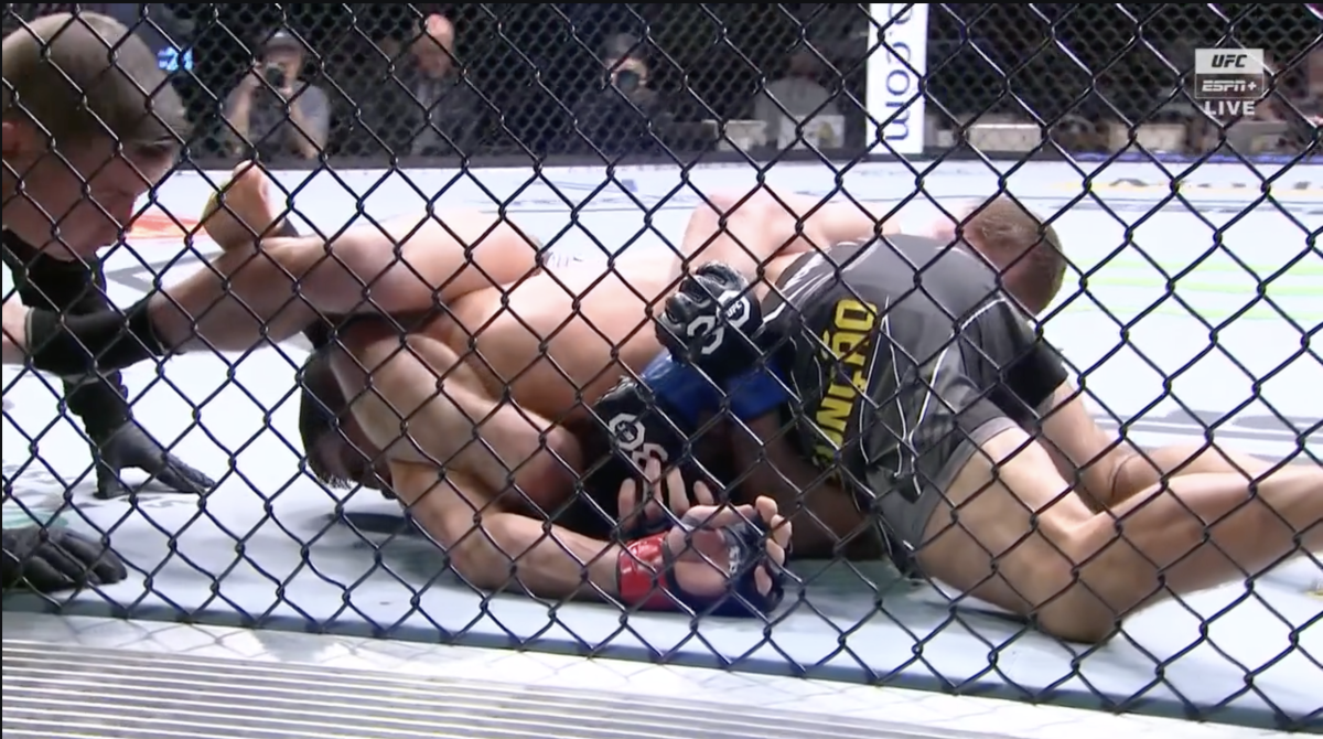 ufc cage fighting