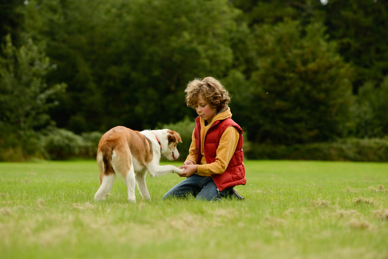 Here's what parents should teach their kids about dog safety. (Getty Images)