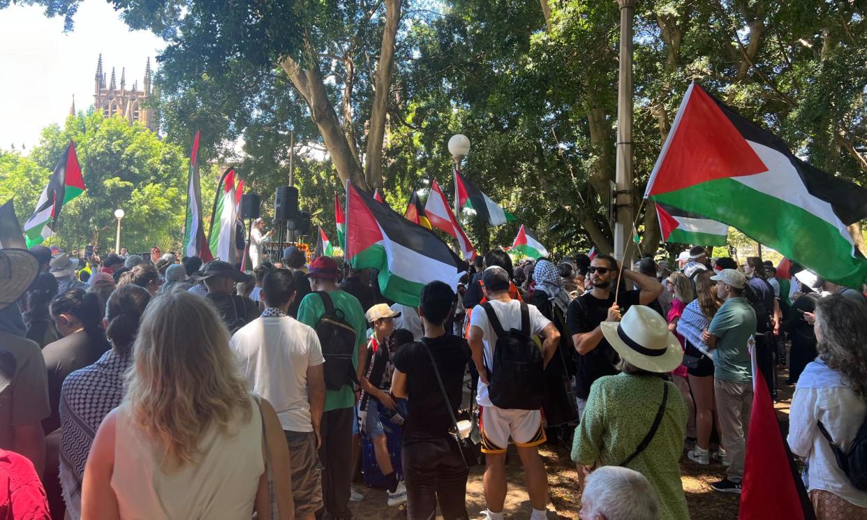 <span>A pro-Palestine rally in Sydney in January.</span><span>Photograph: Emily Wind/The Guardian</span>