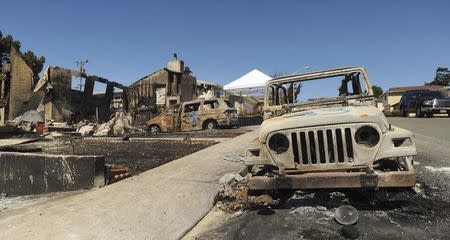 The remains of burned vehicles and homes are seen near the site of a natural gas explosion in San Bruno, California September 11, 2010. REUTERS/Noah Berger/Pool