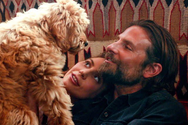Bradley Cooper and Lady Gaga Reunite at “Maestro” Premiere, 5 Years After“  A Star Is Born”