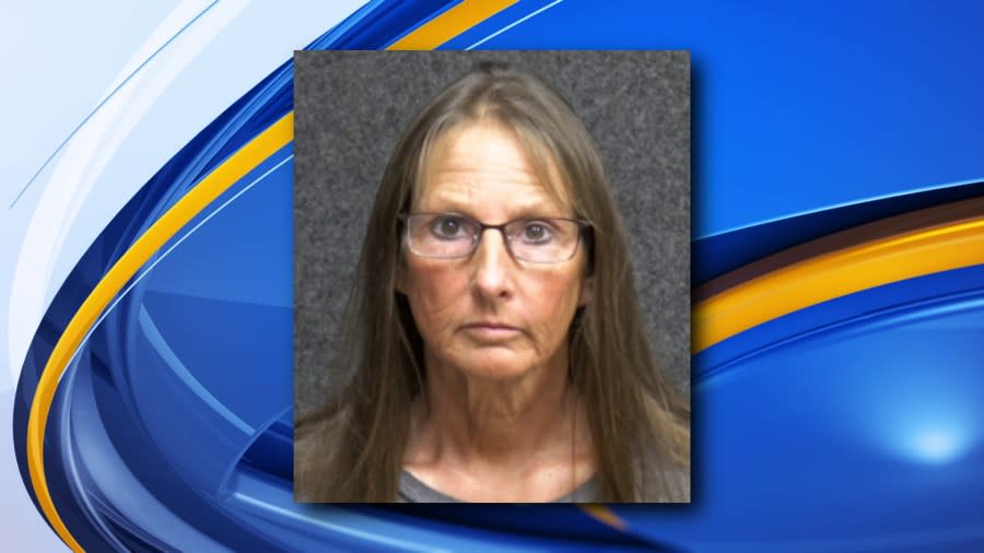 Former city of DeWitt Treasurer and Clerk, Lisa Grysen, was charged with two felonies Wednesday. (CLINTON COUNTY SHERIFF DEPARTMENT)