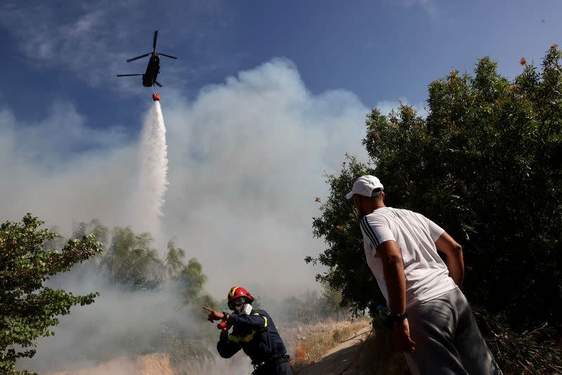 Wildfire rages in the suburb of Ano Voula in Athens