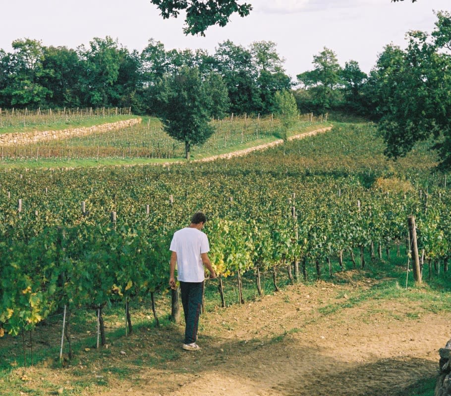 Winemaker James Marshall-Lockyer walking the vines<p>Courtesy of Tenuta Licinia</p>