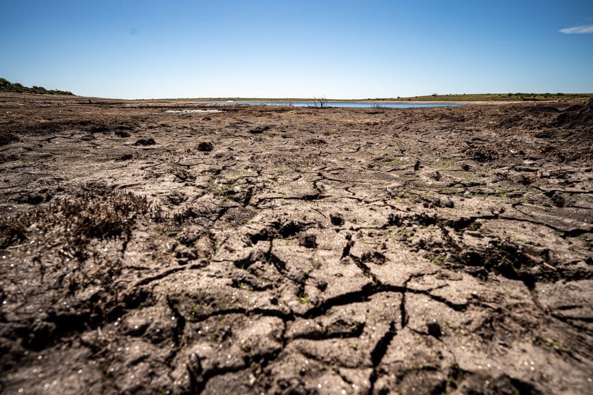 Lakes around the world are shrinking and some have even dried up (Ben Birchall/PA) (PA Archive)