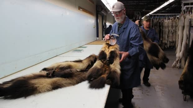 Submitted by Fur Harvesters Inc.