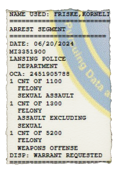 Criminal History Record Information, ICHAT document (Source: Michigan State Police)