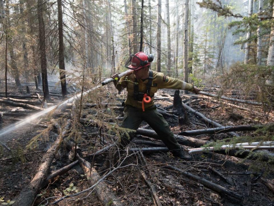 A firefighter extinguishes hotspots beside Highway 35 just south of the town of High Level, Alta., in 2019. (Chris Schwarz/Government of Alberta - image credit)