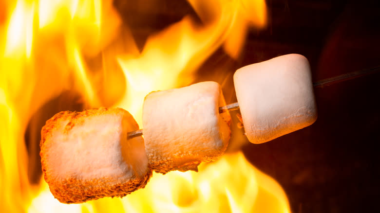 marshmallows in fire