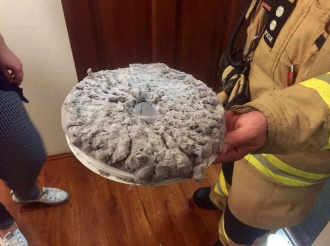 The large pile of lint found in the family's clothes dryer. 