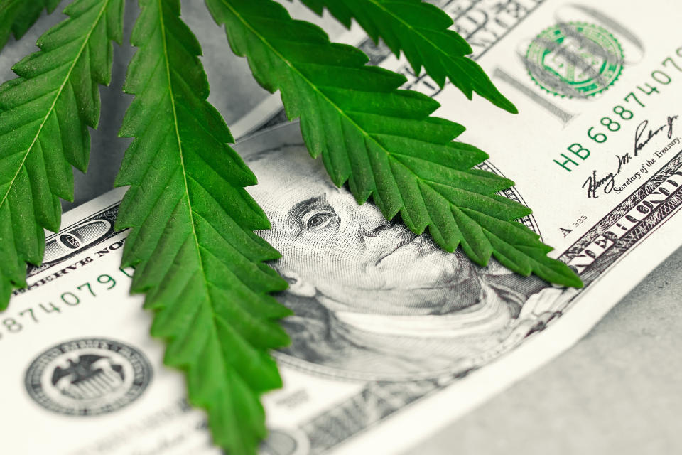 Marijuana leaf atop a 100-dollar bill.