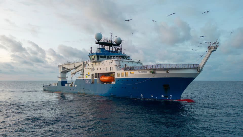 The seamount was discovered in July during a Schmidt Ocean Institute expedition using the research vessel known as Falkor (too). - Schmidt Ocean Institute