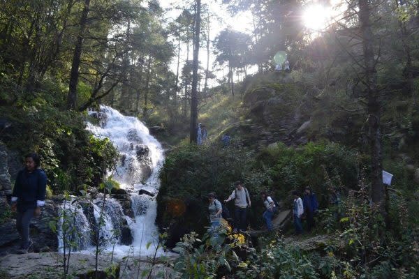 Una de las riquezas más valiosas que posee este bosque es el agua, y de allí su nombre: Bosque de Agua. Su valor equivale a más de 65 mil millones de pesos mexicanos (3,880 millones de dólares) al año. (Foto: cortesía Víctor Ávila Akerberg)