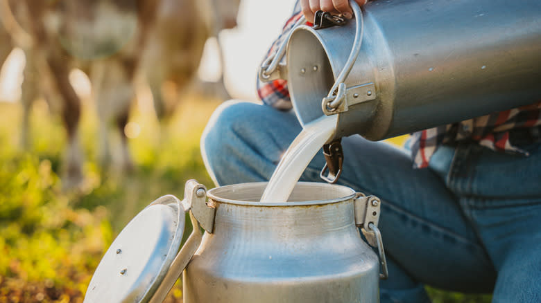 pouring raw milk