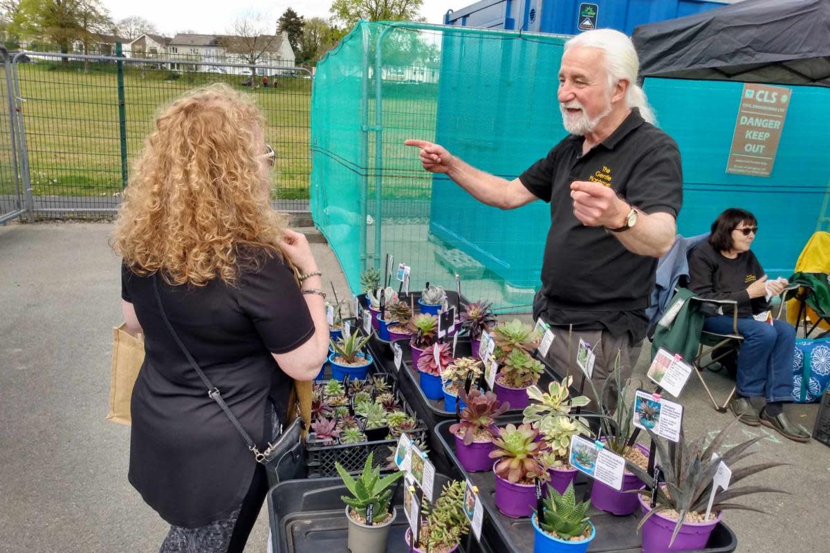 It will grow this big- experienced growers shared their tips. <i>(Image: Western Telegraph)</i>