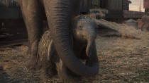 <p>Mrs. Jumbo protects her son. All the animals in the film are CGI, but they don’t talk like the original, and Mrs. Jumbo’s fellow female elephants aren’t in the film. (Disney) </p>