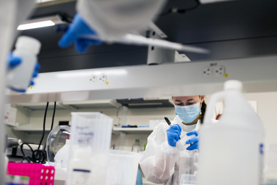 Sarah Clarke, especialista de laboratorio de Sequencing and Genomic Technologies Shared Resource, de la Universidad Duke, en Durham, Carolina del Norte, trabaja con muestras positivas de coronavirus, el 3 de febrero de 2021. (Pete Kiehart/The New York Times)